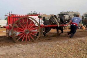 Compromís, Podem i EUPV convida a repensar la tradició del tir i arrossegament - (foto 2) Compromís, Podem i EUPV convida a repensar la tradició del tir i arrossegament - (foto 2)