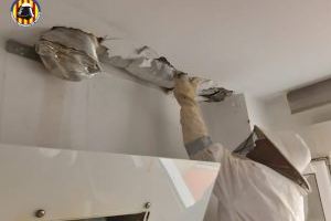 Tremendo susto en un piso de Utiel: los bomberos retiran una colmena de abejas de una cocina