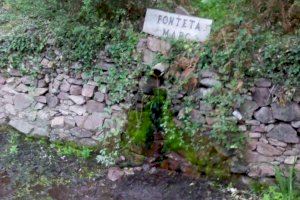 El paraje donde ha sido encontrada