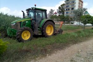 Burriana conclourà amb la neteja de l'Arenal després de 8 anys d'abandó i condicions insalubres - (foto 2)