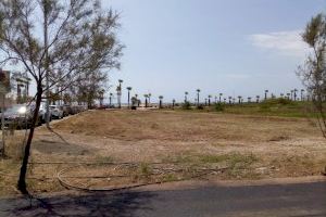 Burriana conclourà amb la neteja de l'Arenal després de 8 anys d'abandó i condicions insalubres - (foto 3)