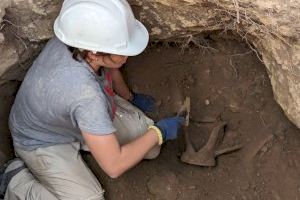 Las excavaciones en la ciudad visigoda de València la Vella sacan a la luz un taller propio de fabricación de monedas en Riba-roja de Túria - (foto 19)