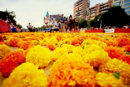 Sorteig de llotges per a la Batalla de Flores: Comprova si eres un dels afortunats Sorteig de llotges per a la Batalla de Flores: Comprova si eres un dels afortunats
