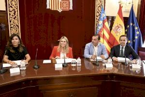 La Diputación de Castellón aprueba su estructura organizativa para optimizar la gestión en los próximos cuatro años - (foto 2)