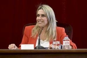 La Diputación de Castellón aprueba su estructura organizativa para optimizar la gestión en los próximos cuatro años - (foto 3)