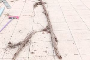 L'Ajuntament d'Algemesí inicia la neteja de canalons i embornals d'Algemesí per a evitar inundacions - (foto 3)