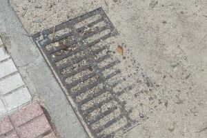 L'Ajuntament d'Algemesí inicia la neteja de canalons i embornals d'Algemesí per a evitar inundacions - (foto 5)