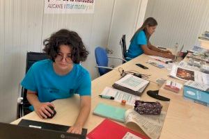 Mil Palmeras y Torre de la Horadada tienen Toorist Info este verano - (foto 2)