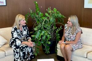 La Diputació demana estendre el TRAM fins a Borriana, Onda, Benicàssim, Almassora i Vila-real - (foto 2)