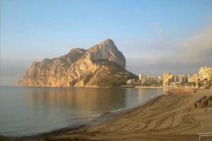 Calp recuerda el “gran” valor ecológico de las praderas de Posidonia y sólo retirará los restos de la playa de la Fossa en verano