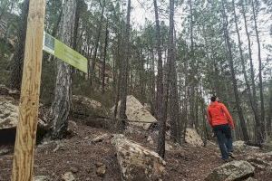 Las mínimas del 6 de agosto apenas han alcanzado los 11ºC en la Comunitat Valenciana