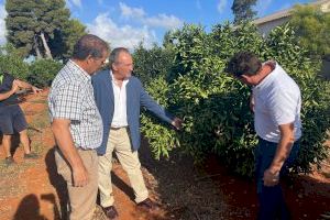 José Luis Aguirre visita la estación experimental agraria de Vila-real - (foto 2)
