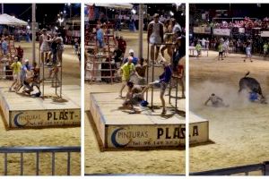 Una macropelea durante los toros de Puerto de Sagunto acaba en grave cogida a un hombre que intentó mediar Una macropelea durante los toros de Puerto de Sagunto acaba en grave cogida a un hombre que intentó mediar