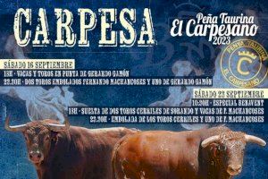 Cartel taurí de Carpesa 2023