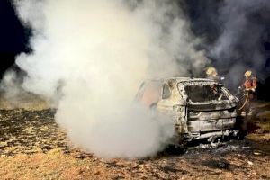 Crema un vehicle en l'A35 a Moixent prop d'una zona forestal - (foto 2)