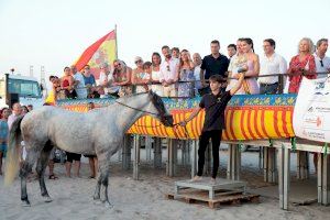 El cavall ‘Tro’ s'alça com a guanyador de les Corregudes de Joies de Pinedo 2023 - (foto 6)