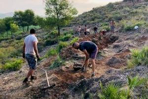 Comencen les obres de restauració de la IV fase del Conjunt Memorial de Darrere del Castell d'Almenara - (foto 6) Comencen les obres de restauració de la IV fase del Conjunt Memorial de Darrere del Castell d'Almenara - (foto 6)