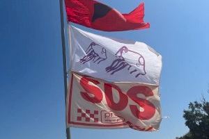 Tanquen unes platges d'Oliva per la presència d'un tauró blau