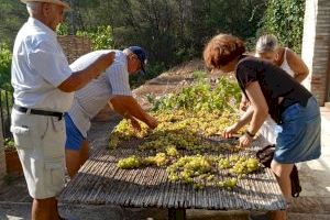 Ròtova celebra per tercer any consecutiu la festa de l’escaldà - (foto 2) Ròtova celebra per tercer any consecutiu la festa de l’escaldà - (foto 2)