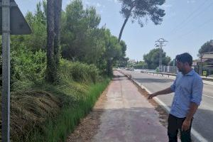 Retiren quasi 300 tones de vegetació a la Devesa del Saler per a reduir el risc d'incendis - (foto 2)