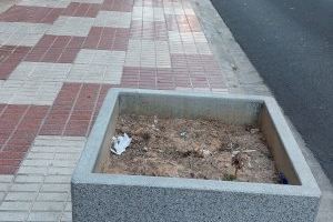 El PSPV-PSOE d'Algemesí critica que les zones verdes abandonades pel seu regidor