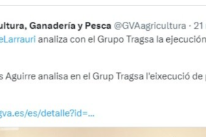 El tuit en qüestió