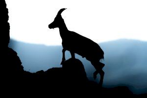 La Diputació de Castelló impulsa la segona edició del concurs de fotografia ‘Naturalitza't!’ La Diputació de Castelló impulsa la segona edició del concurs de fotografia ‘Naturalitza't!’