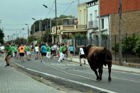 Santa Bàrbara vibra con el tradicional ‘bou en corda’ Santa Bàrbara vibra con el tradicional ‘bou en corda’