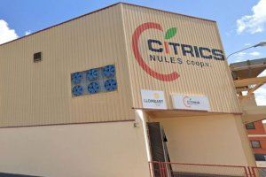 Cooperativa Cítrics de Nules