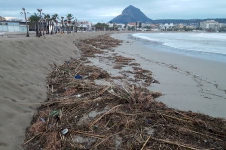 Comunicat de l'Equip de Govern de Xàbia 3 de setembre de 2023