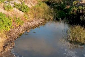 Burriana minimitza els efectes de la DANA durant les festes de la Misericòrdia - (foto 2)
