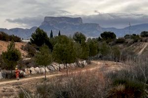 La Concejalía de Juventud y el Consorcio CREA promueven la responsabilidad medioambiental a través de una actividad de Plogging en Petrer