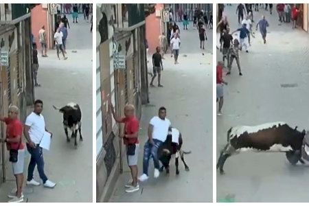VIDEO | La insólita cogida que han dejado los ‘bous al carrer’ de Burriana con unos DJs como protagonistas VIDEO | La insólita cogida que han dejado los ‘bous al carrer’ de Burriana con unos DJs como protagonistas