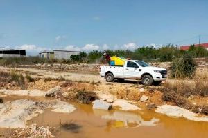 Vinaròs refuerza las tareas de control de los mosquitos