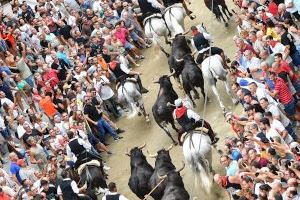 Segorbe vibra amb la cinquena Entrada de Bous i Cavalls