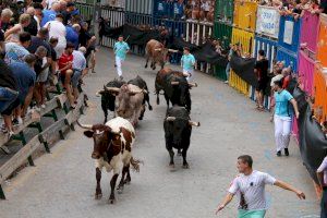 Borriana redueix quasi un 50 per cent el nombre de molèsties en penyes i casals durant les Festes de la Misericòrdia