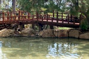 Alicante completa la primera fase de la renovación del Parque el Palmeral con una inversión de 362.000 euros - (foto 4)