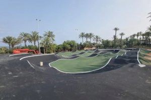 Alicante completa la primera fase de la renovación del Parque el Palmeral con una inversión de 362.000 euros - (foto 5)
