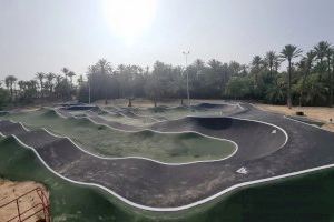 Alicante completa la primera fase de la renovación del Parque el Palmeral con una inversión de 362.000 euros - (foto 6)