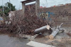 Mazzolari exige que el Ayuntamiento de Llíria no cobre la tasa de ocupación a los feriantes afectados por las fuertes lluvias - (foto 2) Mazzolari exige que el Ayuntamiento de Llíria no cobre la tasa de ocupación a los feriantes afectados por las fuertes lluvias - (foto 2)
