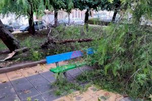 Mazzolari exige que el Ayuntamiento de Llíria no cobre la tasa de ocupación a los feriantes afectados por las fuertes lluvias - (foto 3) Mazzolari exige que el Ayuntamiento de Llíria no cobre la tasa de ocupación a los feriantes afectados por las fuertes lluvias - (foto 3)