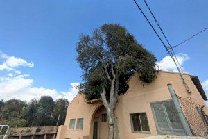 Edificio donde se ubicaba la estación meteorológica, aplastada por un árbol