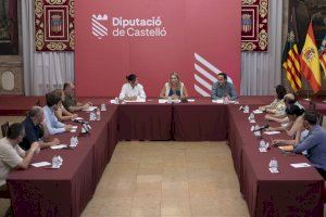 La Diputación de Castellón alega contra la autorización de construcción de la megaplanta fotovoltaica Magda La Diputación de Castellón alega contra la autorización de construcción de la megaplanta fotovoltaica Magda
