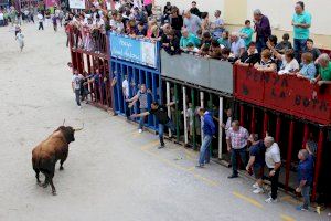 Moncofa inicia esta semana las fiestas de Sant Antoni: consulta toda la programación