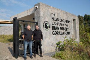 El investigador de la UA Alejandro Romero participa en un proyecto que estudia el gorila de montaña en África El investigador de la UA Alejandro Romero participa en un proyecto que estudia el gorila de montaña en África