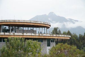 El investigador de la UA Alejandro Romero participa en un proyecto que estudia el gorila de montaña en África - (foto 2) El investigador de la UA Alejandro Romero participa en un proyecto que estudia el gorila de montaña en África - (foto 2)