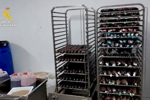 Hasta 100 investigados en una macroperación internacional que deja 300 ovejas inmovilizadas en Alicante - (foto 4) Hasta 100 investigados en una macroperación internacional que deja 300 ovejas inmovilizadas en Alicante - (foto 4)