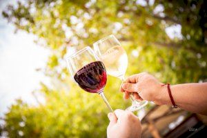 Vuelve la gran feria Utiel Gastronómica con los mejores embutidos, vinos y mucha gastronomía