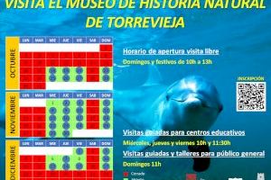 Cultura y Ars Creatio organizan visitas guiadas y talleres gratuitos en el Museo de Historia Natural durante dos meses