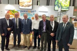 Nueva promoción de la Alcachofa DOP de Benicarló en Fruit Attraction 2023